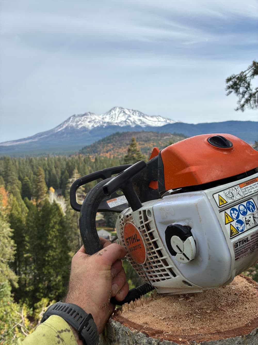Project 120-Foot Dead White Fir Removal with a View of Mt Shasta image