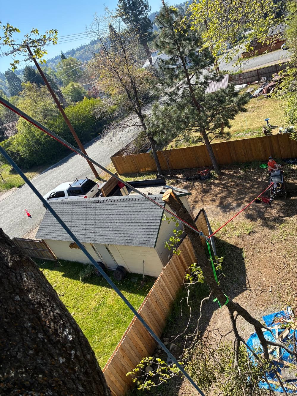 Large Oak Limb Removal Over a Deck in Mt Shasta image